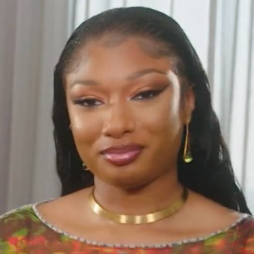 Face Guesser: Megan Thee Stallion - 1x1