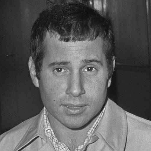 Face Guesser: Paul Simon - 1x1