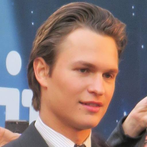 Face Guesser: Ansel Elgort - 1x1
