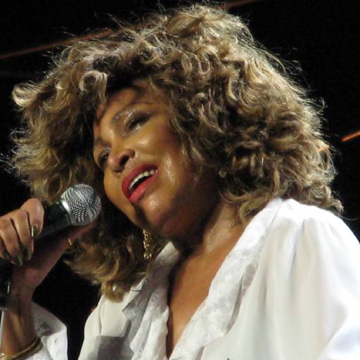 Face Guesser: Tina Turner - 1x1