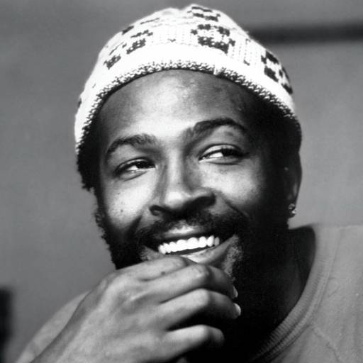 Face Guesser: Marvin Gaye - 1x1