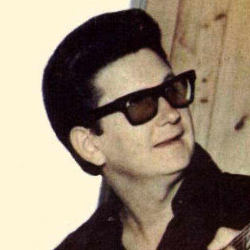 Face Guesser: Roy Orbison - 1x1