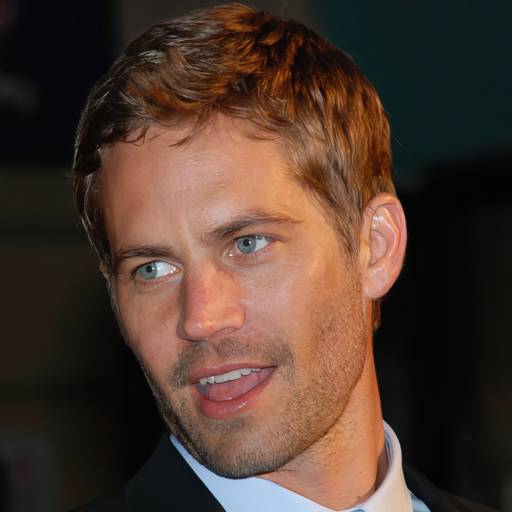 Face Guesser: Paul Walker - 1x1