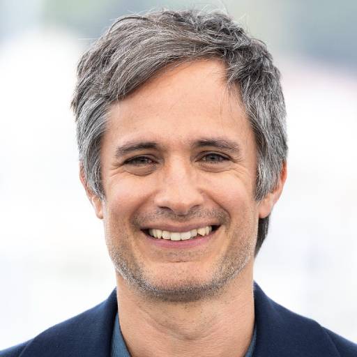 Face Guesser: Gael Garcia Bernal - 1x1