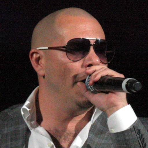 Face Guesser: Pitbull - 1x1