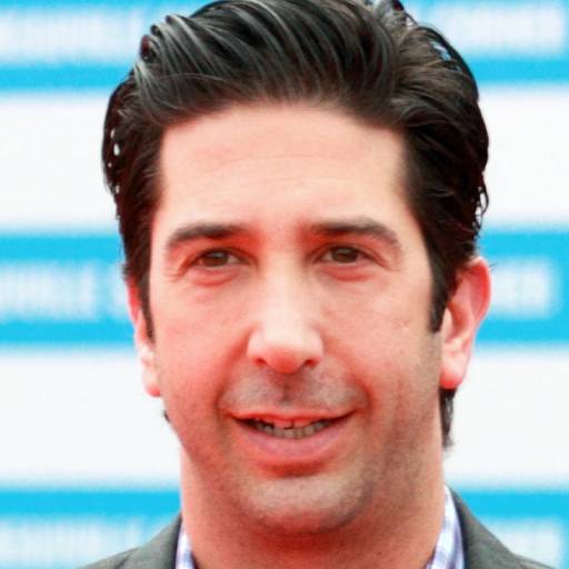 Face Guesser: David Schwimmer - 1x1