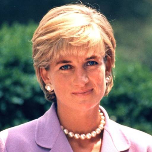 Face Guesser: Princess Diana - 1x1