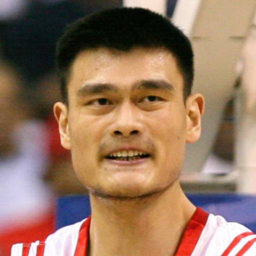 Face Guesser: Yao Ming - 1x1