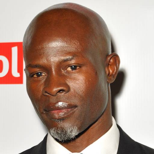 Face Guesser: Djimon Hounsou - 1x1