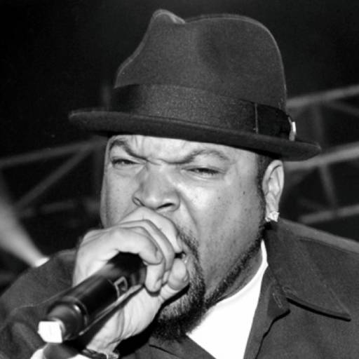 Face Guesser: Ice Cube - 1x1