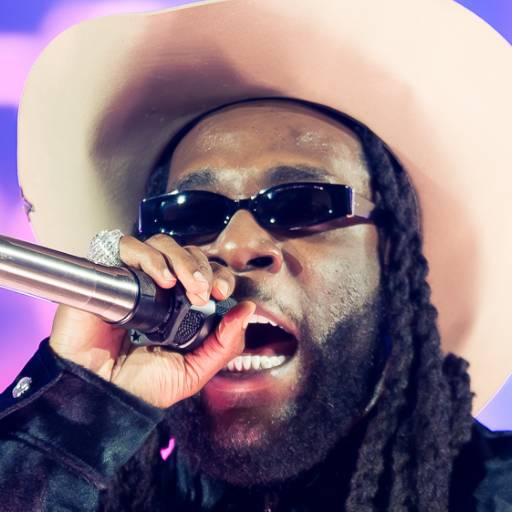Face Guesser: Burna Boy - 1x1