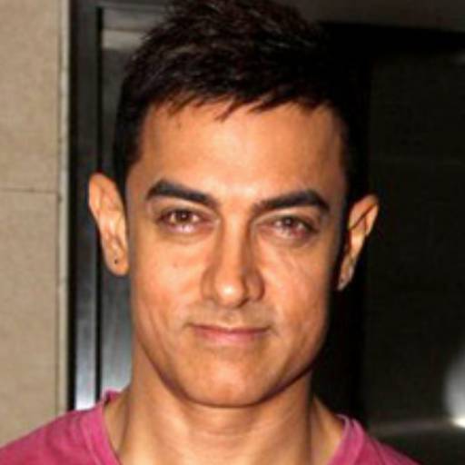 Face Guesser: Aamir Khan - 1x1