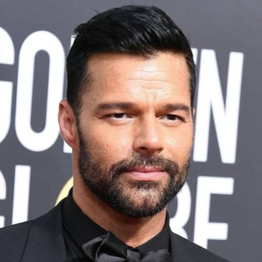 Face Guesser: Ricky Martin - 1x1