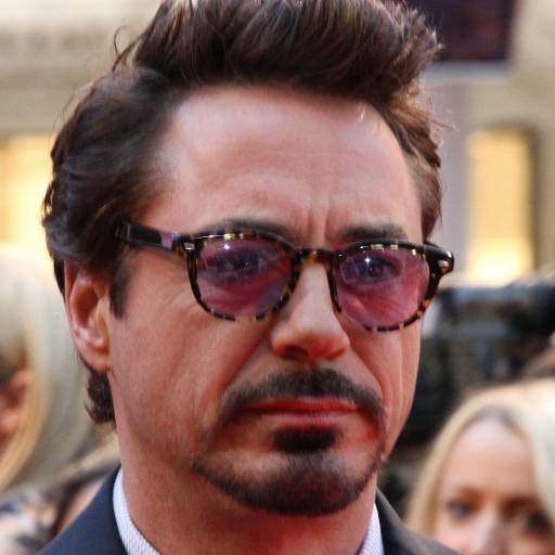 Face Guesser: Robert Downey Jr. - 1x1