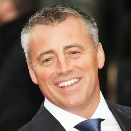 Face Guesser: Matt LeBlanc - 1x1
