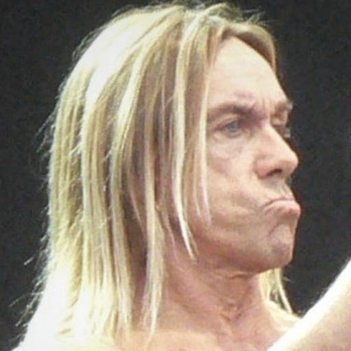 Face Guesser: Iggy Pop - 1x1