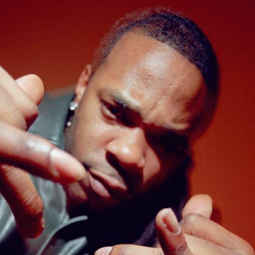 Face Guesser: Busta Rhymes - 1x1