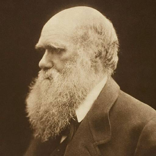 Face Guesser: Charles Darwin - 1x1