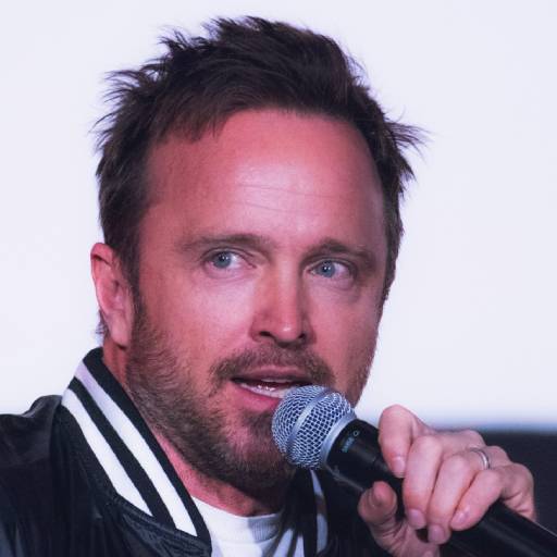 Face Guesser: Aaron Paul - 1x1