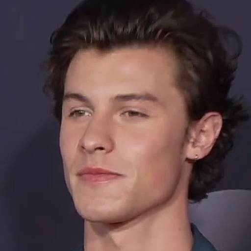 Face Guesser: Shawn Mendes - 1x1