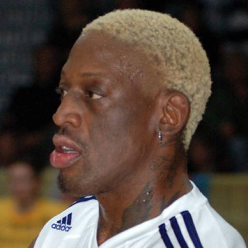Face Guesser: Dennis Rodman - 1x1