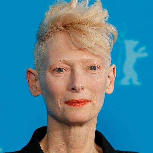 Face Guesser: Tilda Swinton - 1x1