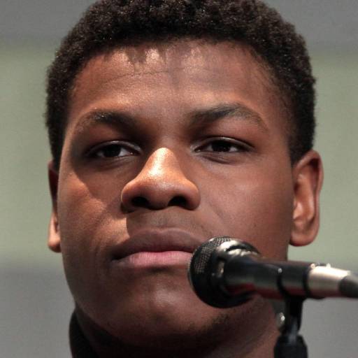 Face Guesser: John Boyega - 1x1