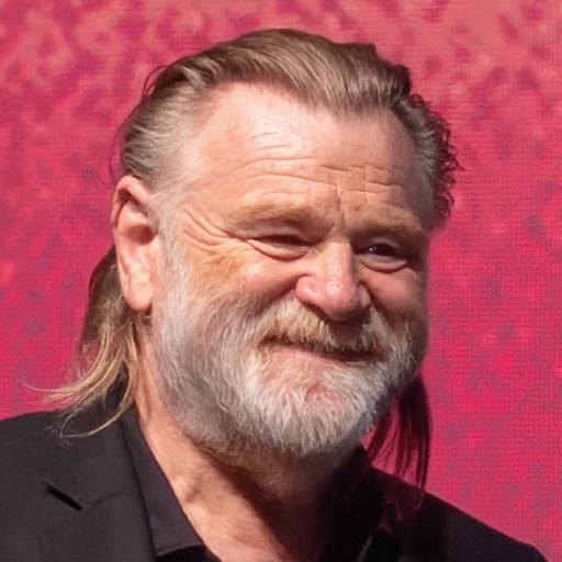 Face Guesser: Brendan Gleeson - 1x1