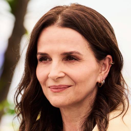 Face Guesser: Juliette Binoche - 1x1