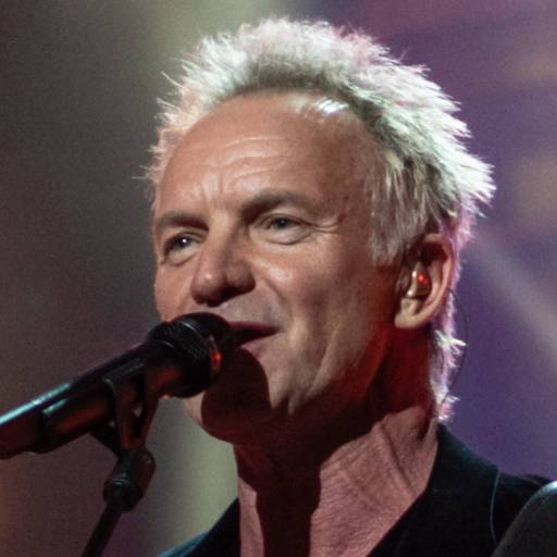 Face Guesser: Sting - 1x1