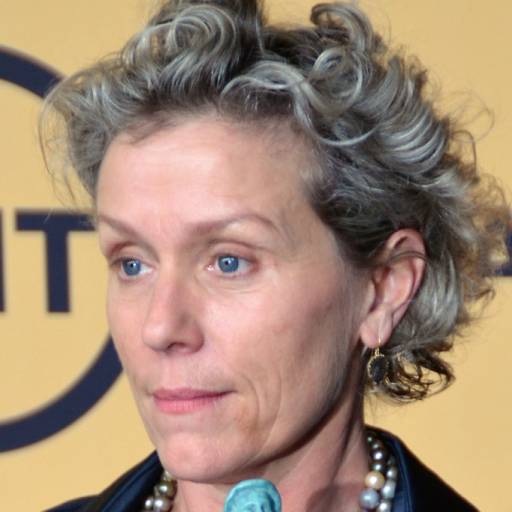Face Guesser: Frances McDormand - 1x1