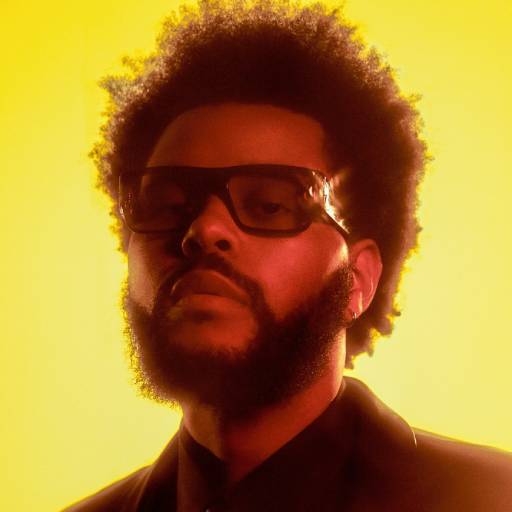 Face Guesser: The Weeknd - 1x1